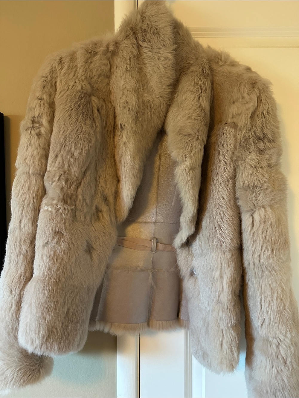 Vintage Plush Taupe leather Jacket with Shawl Collar - Picture 3 of 5
